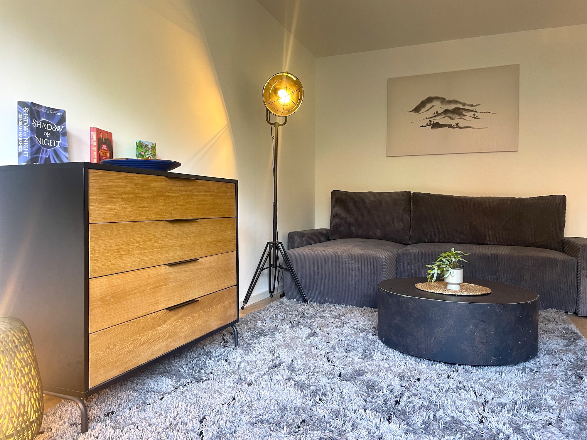 Wohnbereich mit Schlafsofa