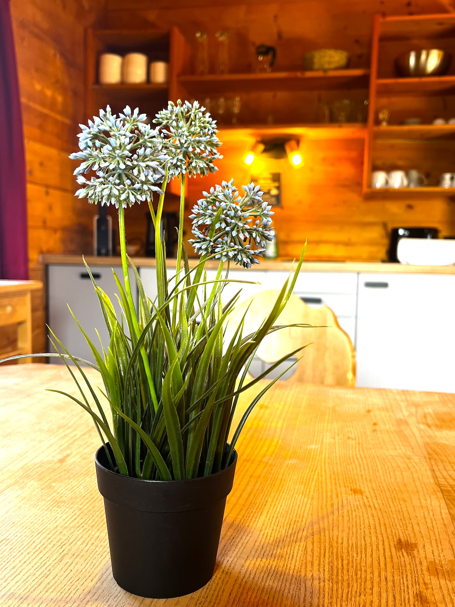 Gemütliches Chalet mit Schlierseeblick No. 1 mit neuer Küche, Bad