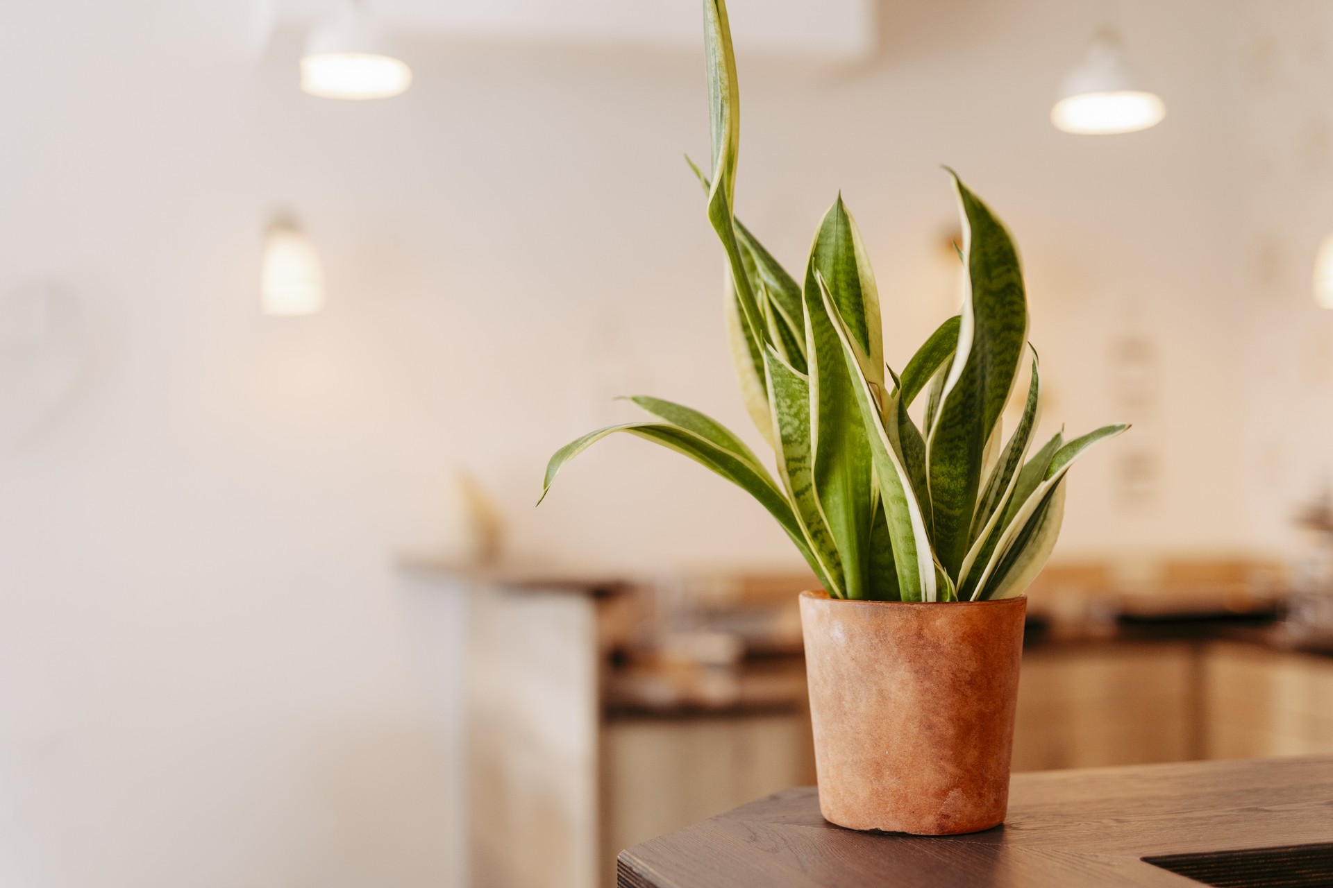 Nahetal | Hotel in Gensingen - Photo 2