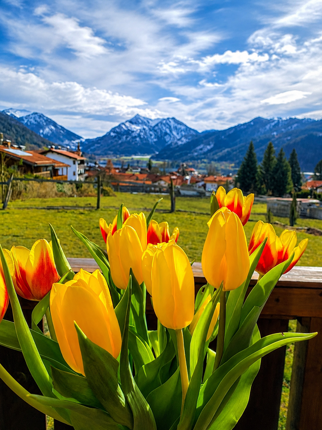 Chalet Schlierseeblick - No. 1 4