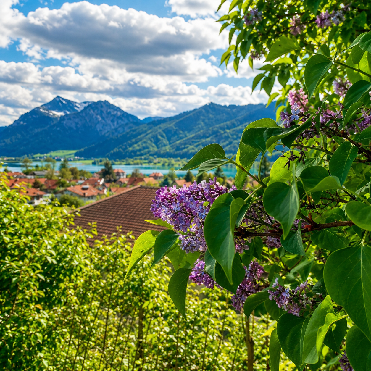 Chalet Schlierseeblick - No. 1