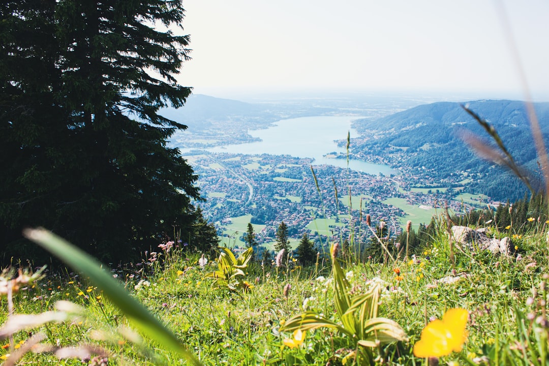 Fackler Apartments - Photo 1